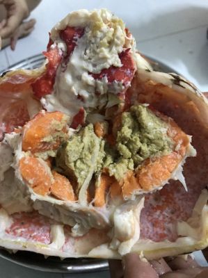 Cua Hoàng Đế - King Crab Đỏ Cái Sống